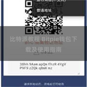   比特派教程 Bitpie钱包下载及使用指南