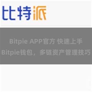   Bitpie APP官方 快速上手Bitpie钱包，多链资产管理技巧