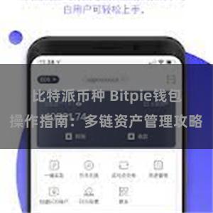 比特派币种 Bitpie钱包操作指南：多链资产管理攻略