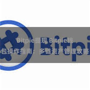 Bitpie提现 Bitpie钱包操作指南：多链资产管理攻略