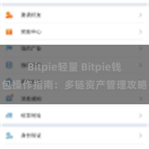 Bitpie轻量 Bitpie钱包操作指南：多链资产管理攻略