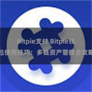 Bitpie支付 Bitpie钱包使用技巧：多链资产管理全攻略