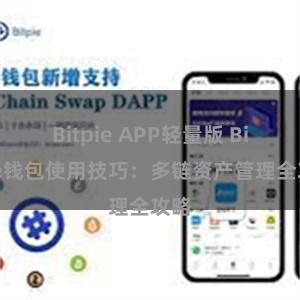 Bitpie APP轻量版 Bitpie钱包使用技巧：多链资产管理全攻略