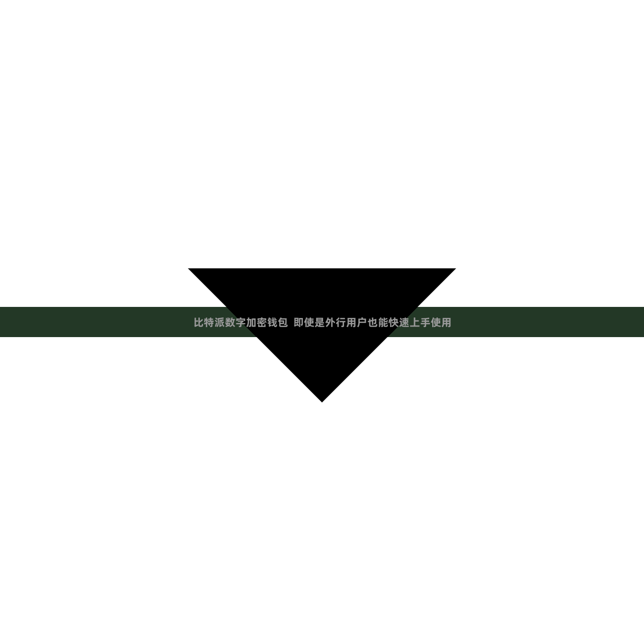 比特派数字加密钱包  即使是外行用户也能快速上手使用