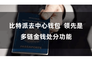 比特派去中心钱包  领先是多链金钱处分功能
